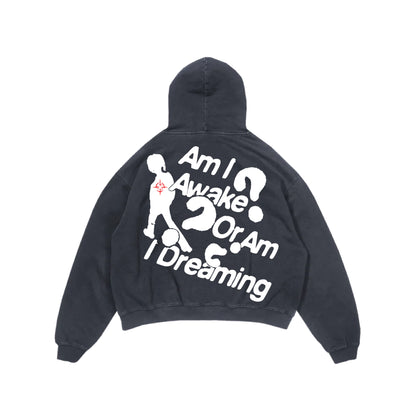 Am I Awake Or Am I Dreaming? Hoodie